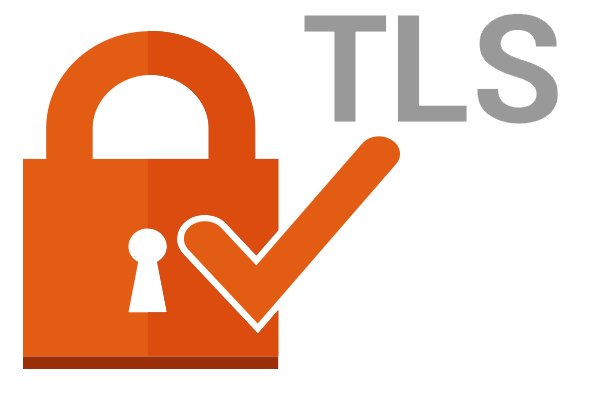 如何在Windows 11上启用TLS1.0和TLS1.1